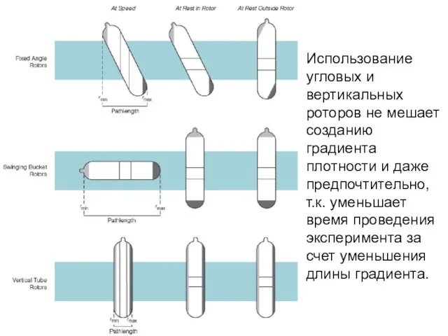 Использование угловых и вертикальных роторов не мешает созданию градиента плотности и