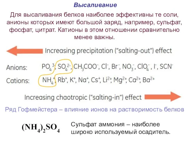 Высаливание Для высаливания белков наиболее эффективны те соли, анионы которых имеют