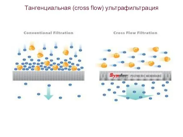 Тангенциальная (cross flow) ультрафильтрация