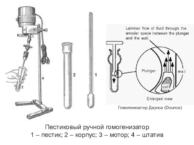 Пестиковый ручной гомогенизатор 1 – пестик; 2 – корпус; 3 –