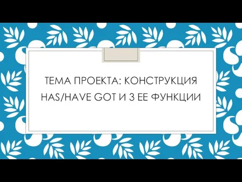 ТЕМА ПРОЕКТА: КОНСТРУКЦИЯ HAS/HAVE GOT И 3 ЕЕ ФУНКЦИИ