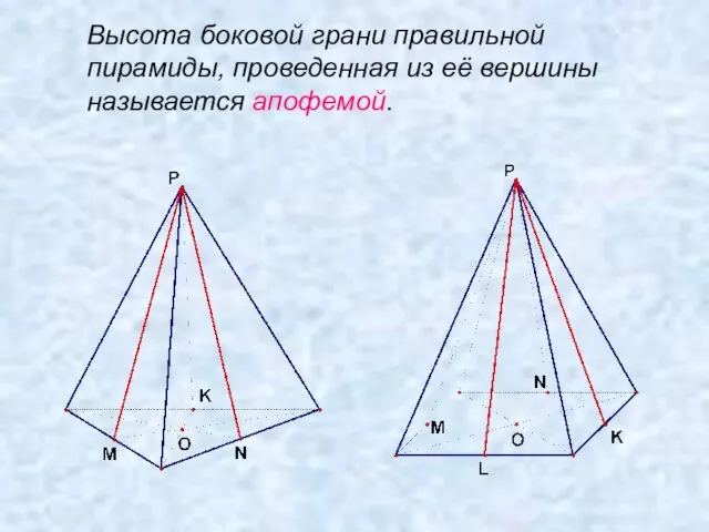 Высота боковой грани правильной пирамиды, проведенная из её вершины называется апофемой.