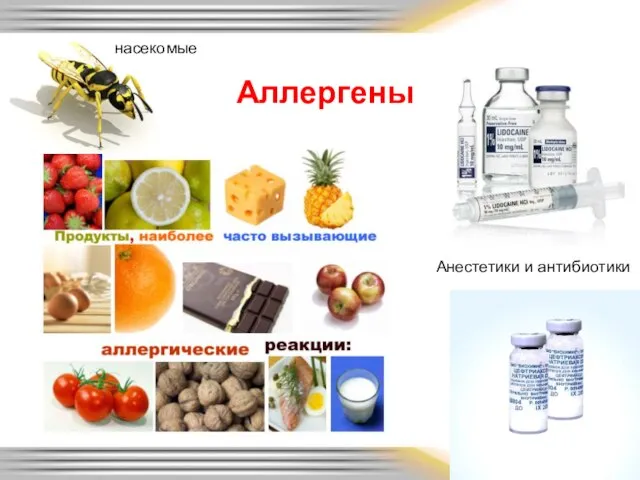 Аллергены Анестетики и антибиотики насекомые
