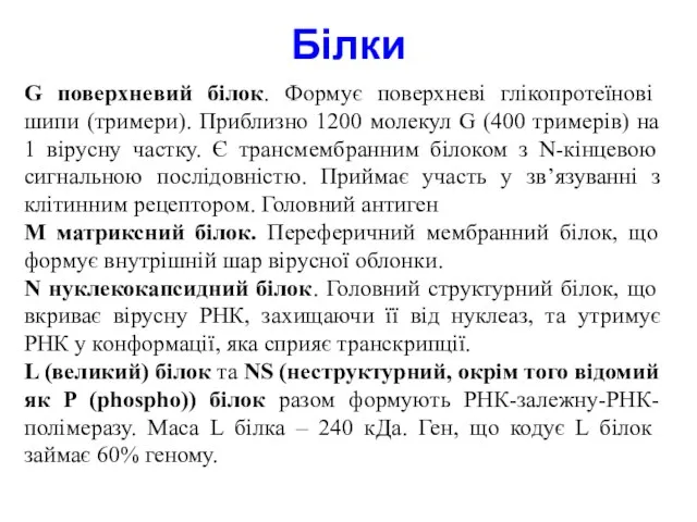 G поверхневий білок. Формує поверхневі глікопротеїнові шипи (тримери). Приблизно 1200 молекул