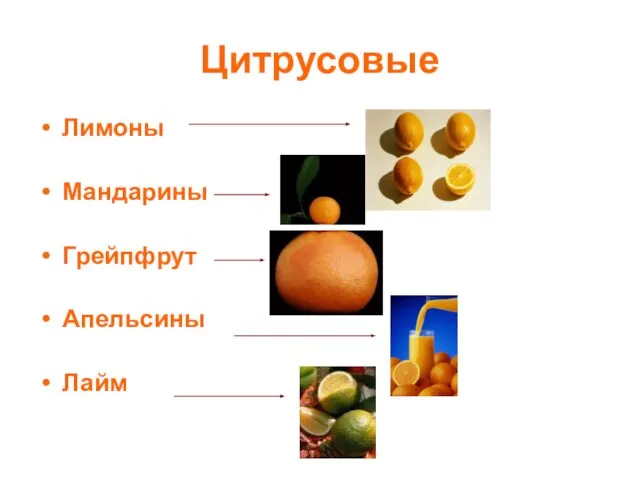 Цитрусовые Лимоны Мандарины Грейпфрут Апельсины Лайм