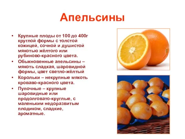 Апельсины Крупные плоды от 100 до 400г круглой формы с толстой