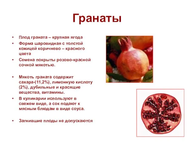 Гранаты Плод граната – крупная ягода Форма шаровидная с толстой кожицей