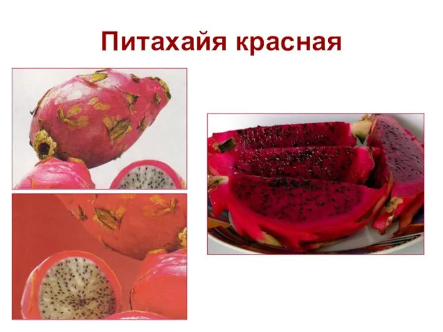 Питахайя красная