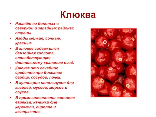 Клюква Растёт на болотах в северной и западных районах страны. Ягоды