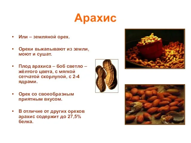 Арахис Или – земляной орех. Орехи выкапывают из земли, моют и