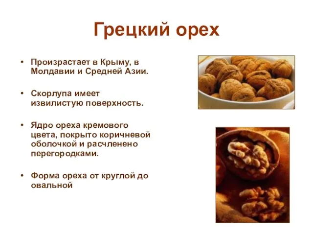 Грецкий орех Произрастает в Крыму, в Молдавии и Средней Азии. Скорлупа