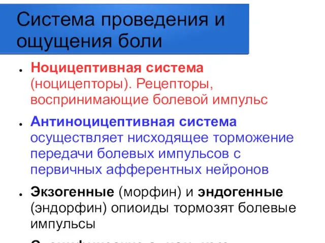 Система проведения и ощущения боли Ноцицептивная система (ноцицепторы). Рецепторы, воспринимающие болевой