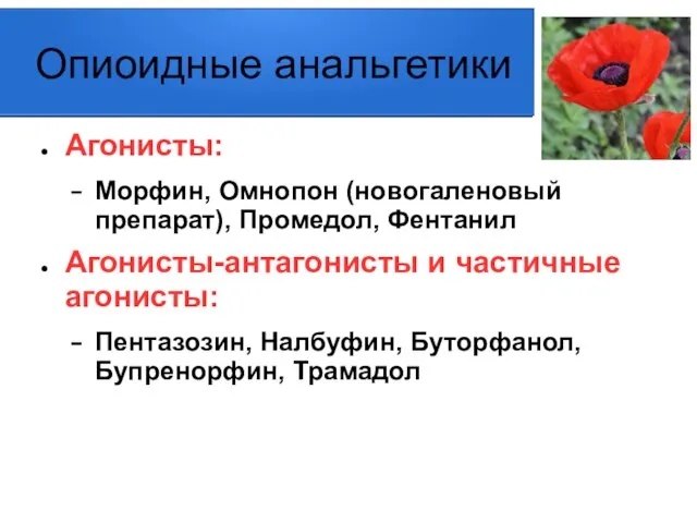 Опиоидные анальгетики Агонисты: Морфин, Омнопон (новогаленовый препарат), Промедол, Фентанил Агонисты-антагонисты и