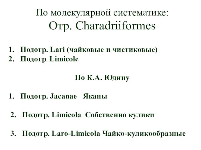 По молекулярной систематике: Отр. Charadriiformes Подотр. Lari (чайковые и чистиковые) Подотр.
