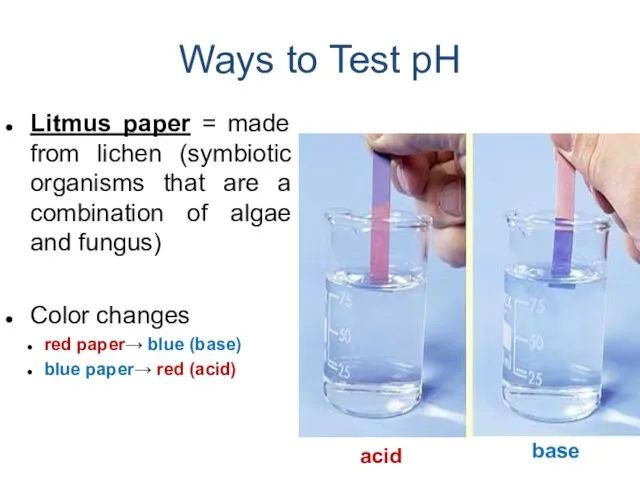 Ways to Test pH Litmus paper = made from lichen (symbiotic