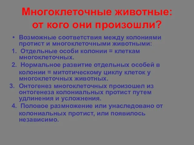 Многоклеточные животные: от кого они произошли? Возможные соответствия между колониями протист