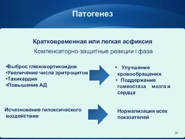 Патогенез Кратковременная или легкая асфиксия Компенсаторно-защитные реакции I фаза Выброс глюкокортикоидов