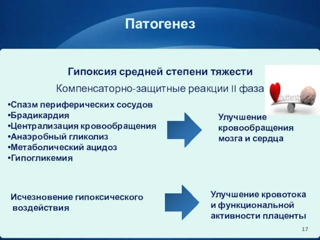 Патогенез Гипоксия средней степени тяжести Компенсаторно-защитные реакции II фаза Спазм периферических