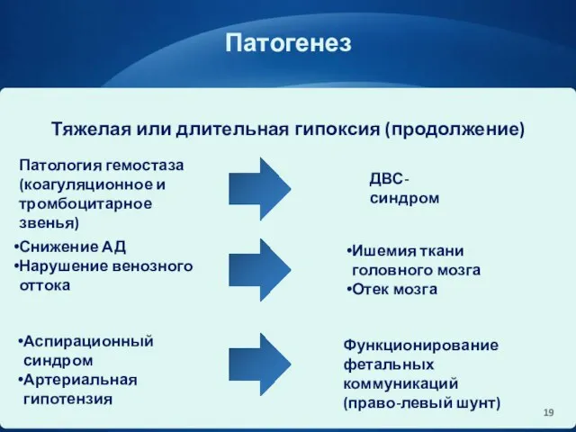 Патогенез Тяжелая или длительная гипоксия (продолжение) Патология гемостаза (коагуляционное и тромбоцитарное