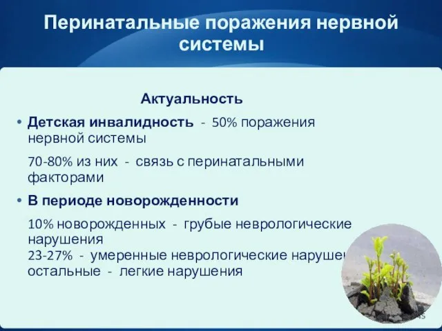 Перинатальные поражения нервной системы Актуальность Детская инвалидность - 50% поражения нервной