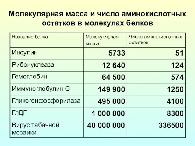 Молекулярная масса и число аминокислотных остатков в молекулах белков