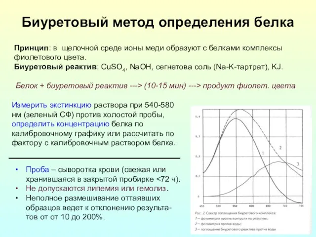 Биуретовый метод определения белка Принцип: в щелочной среде ионы меди образуют