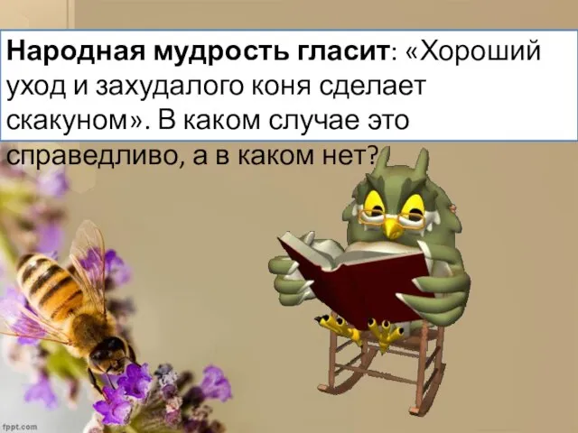 Народная мудрость гласит: «Хороший уход и захудалого коня сделает скакуном». В