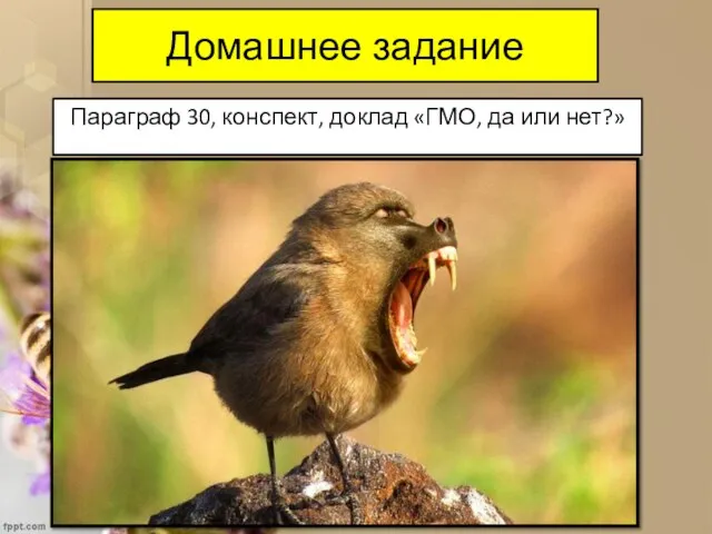 Домашнее задание Параграф 30, конспект, доклад «ГМО, да или нет?»