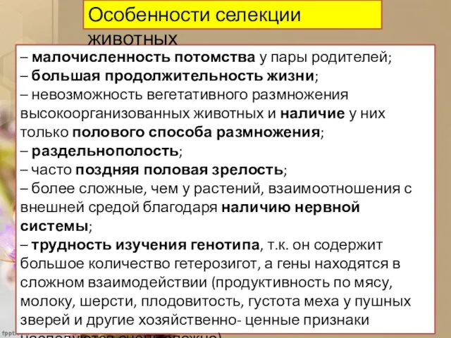 – малочисленность потомства у пары родителей; – большая продолжительность жизни; –