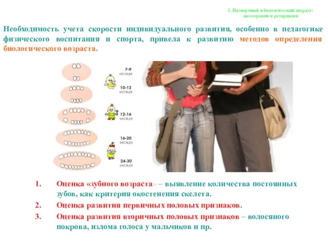 Оценка «зубного возраста» – выявление количества постоянных зубов, как критерия окостенения