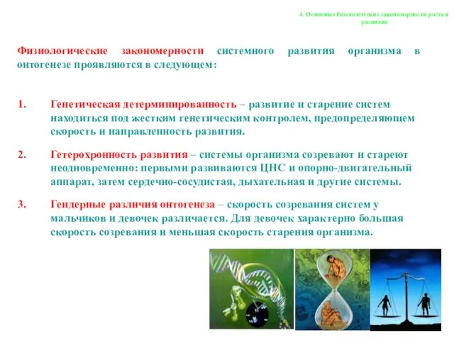 Генетическая детерминированность – развитие и старение систем находиться под жестким генетическим