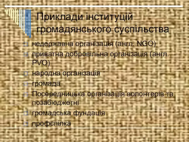 Приклади інституцій громадянського суспільства недержавна організація (англ. NGO) приватна добровільна організація