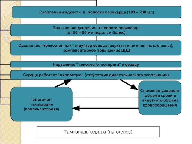 Тампонада сердца (патогенез)