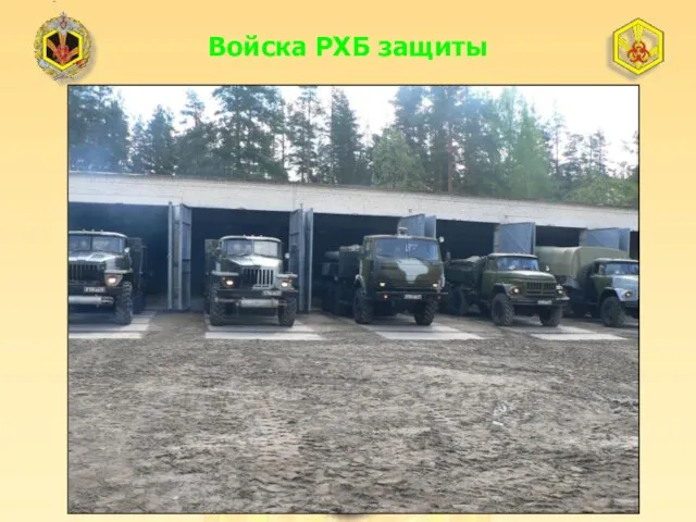 Войска РХБ защиты