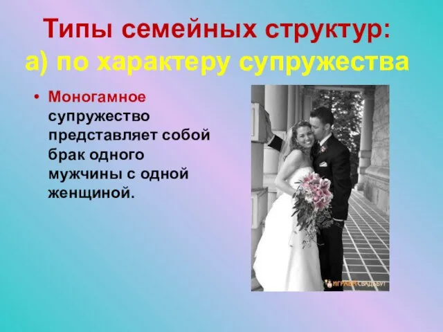 Типы семейных структур: а) по характеру супружества Моногамное супружество представляет собой