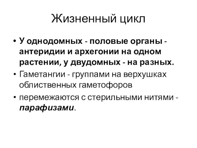 Жизненный цикл У однодомных - половые органы - антеридии и архегонии