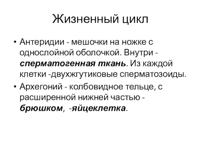 Жизненный цикл Антеридии - мешочки на ножке с однослойной оболочкой. Внутри