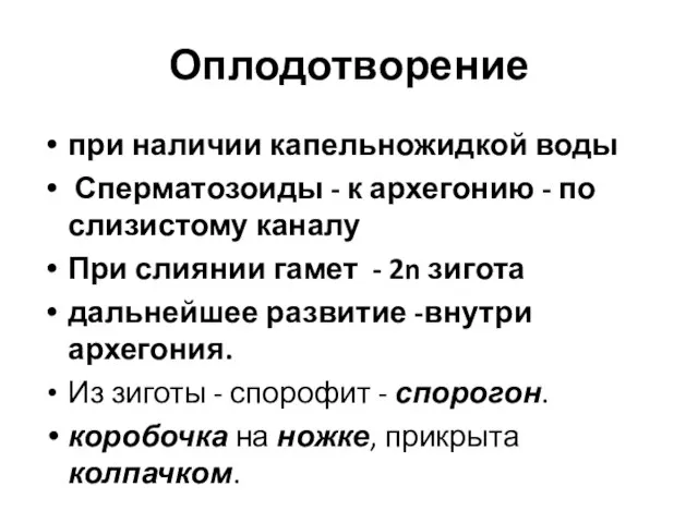 Оплодотворение при наличии капельножидкой воды Сперматозоиды - к архегонию - по