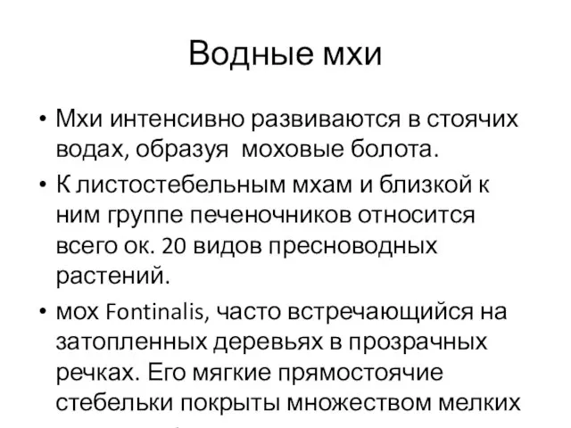 Водные мхи Мхи интенсивно развиваются в стоячих водах, образуя моховые болота.