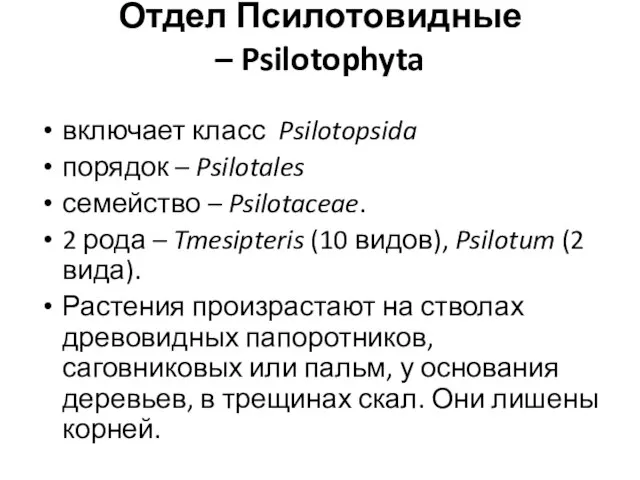 Отдел Псилотовидные – Psilotophyta включает класс Psilotopsida порядок – Psilotales семейство