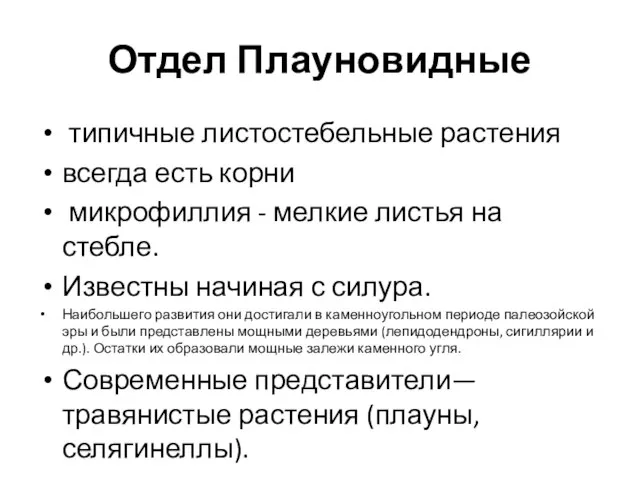 Отдел Плауновидные типичные листостебельные растения всегда есть корни микрофиллия - мелкие