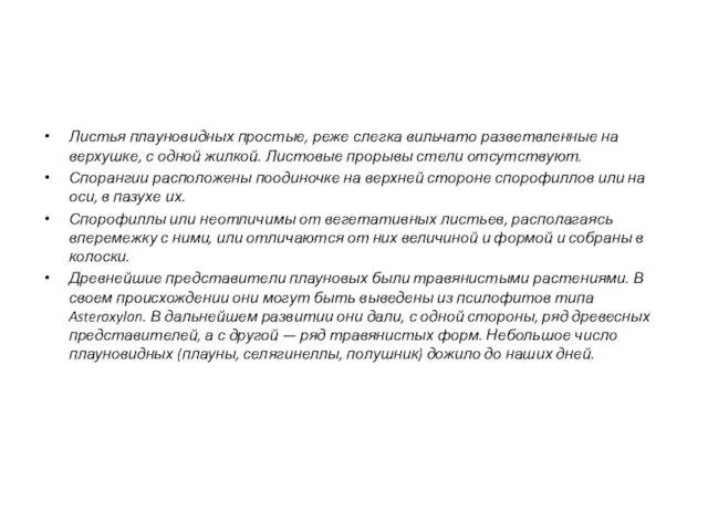 Листья плауновидных простые, реже слегка вильчато разветвленные на верхушке, с одной