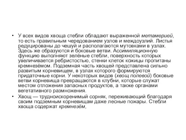 У всех видов хвоща стебли обладают выраженной метамерией, то есть правильным