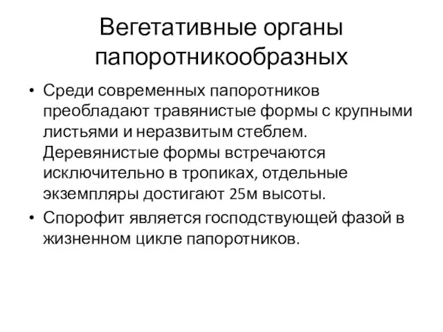 Вегетативные органы папоротникообразных Среди современных папоротников преобладают травянистые формы с крупными