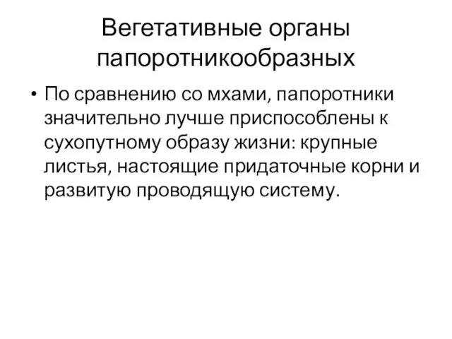 Вегетативные органы папоротникообразных По сравнению со мхами, папоротники значительно лучше приспособлены