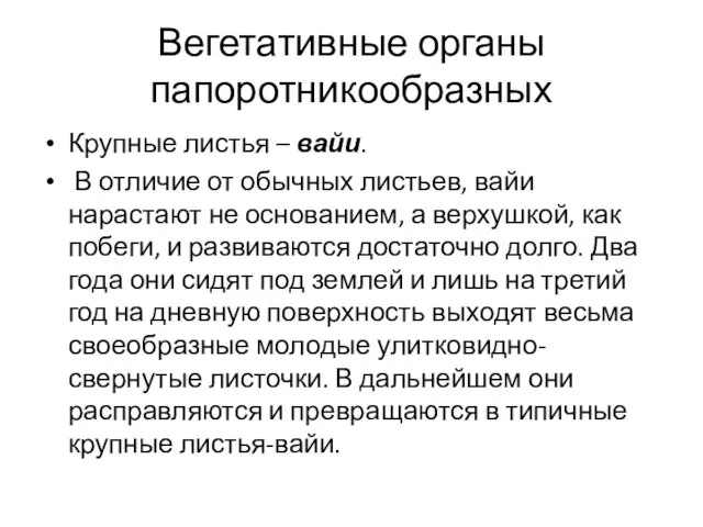 Вегетативные органы папоротникообразных Крупные листья – вайи. В отличие от обычных