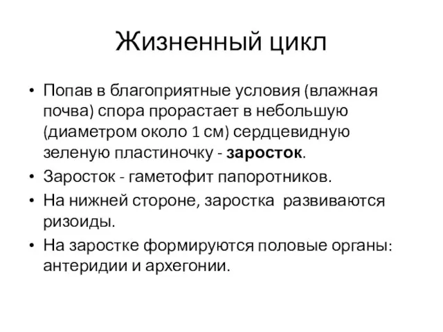 Жизненный цикл Попав в благоприятные условия (влажная почва) спора прорастает в