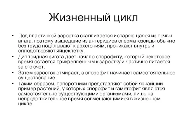 Жизненный цикл Под пластинкой заростка скапливается испаряющаяся из почвы влага, поэтому