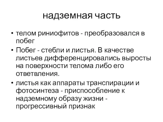 надземная часть телом риниофитов - преобразовался в побег Побег - стебли