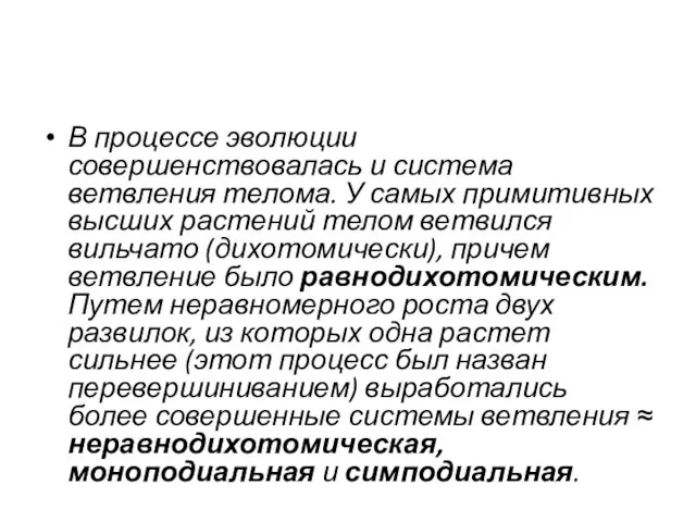 В процессе эволюции совершенствовалась и система ветвления телома. У самых примитивных